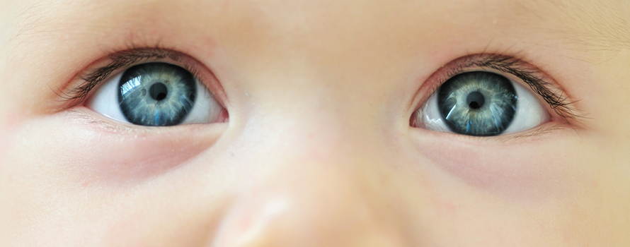 Baby Eye Size Development